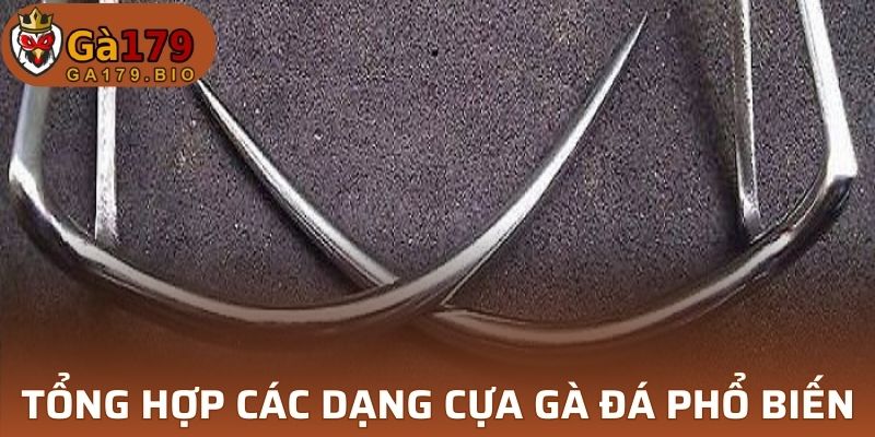 Một số loại hình cựa gà thường gặp
